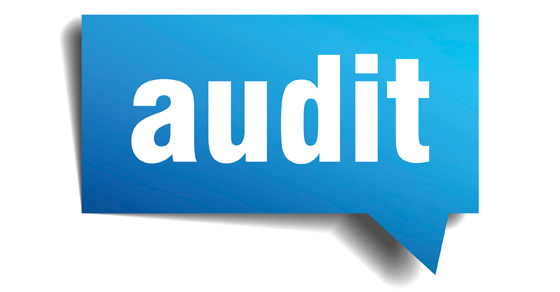 The word AUDIT